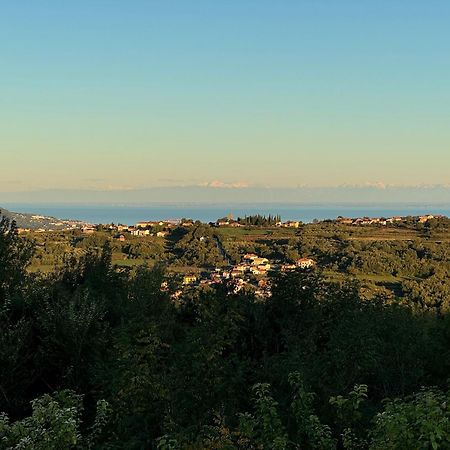 Guesthouse Green Istria Truške Dış mekan fotoğraf