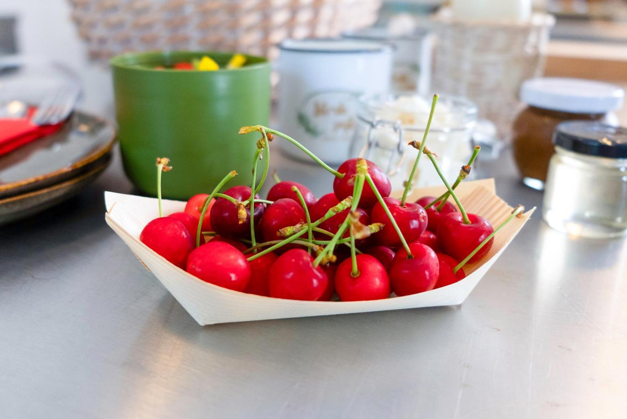 Guesthouse Green Istria Truške Dış mekan fotoğraf
