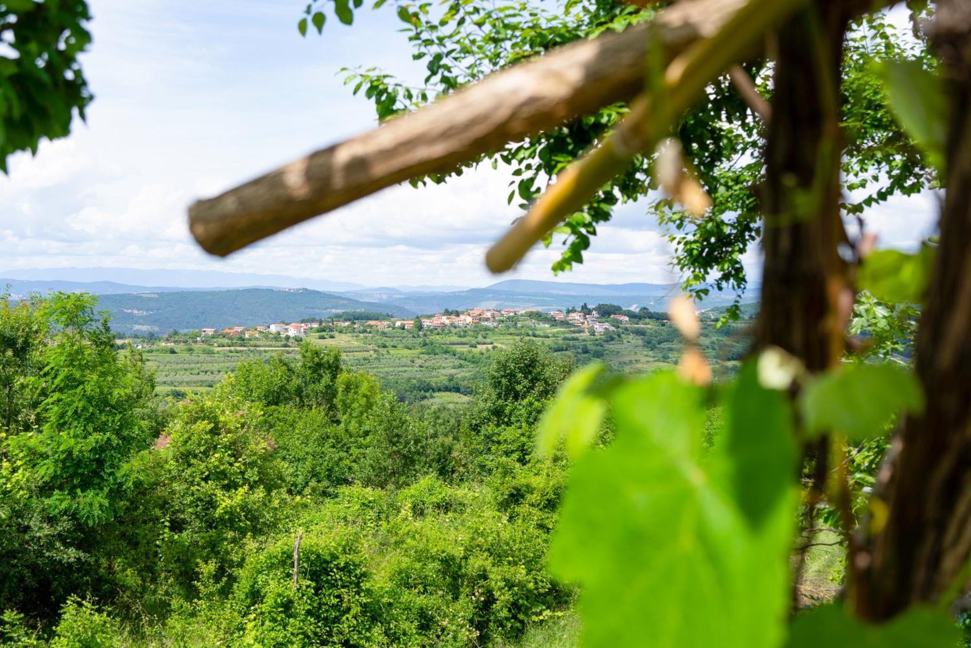 Guesthouse Green Istria Truške Dış mekan fotoğraf
