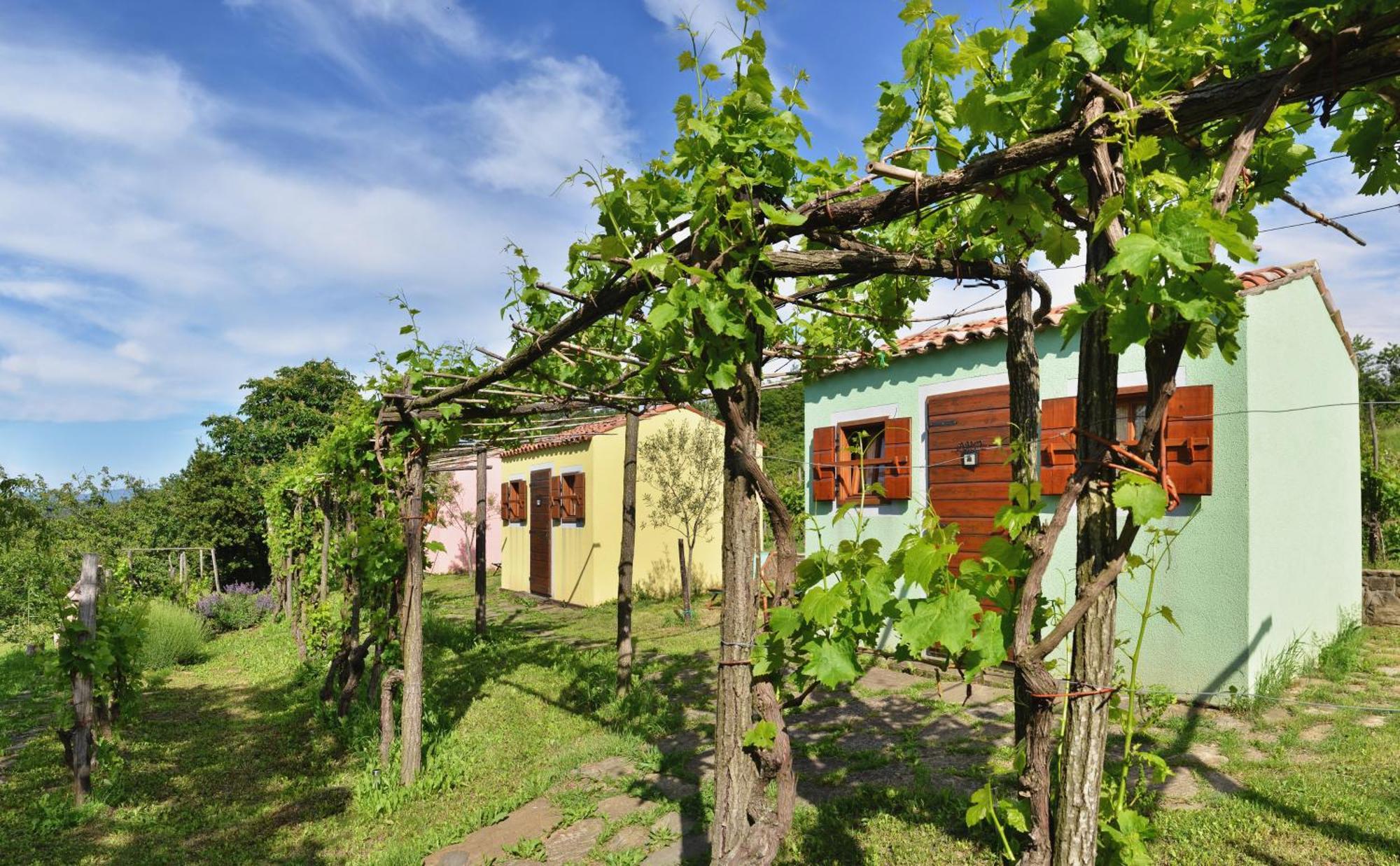 Guesthouse Green Istria Truške Dış mekan fotoğraf