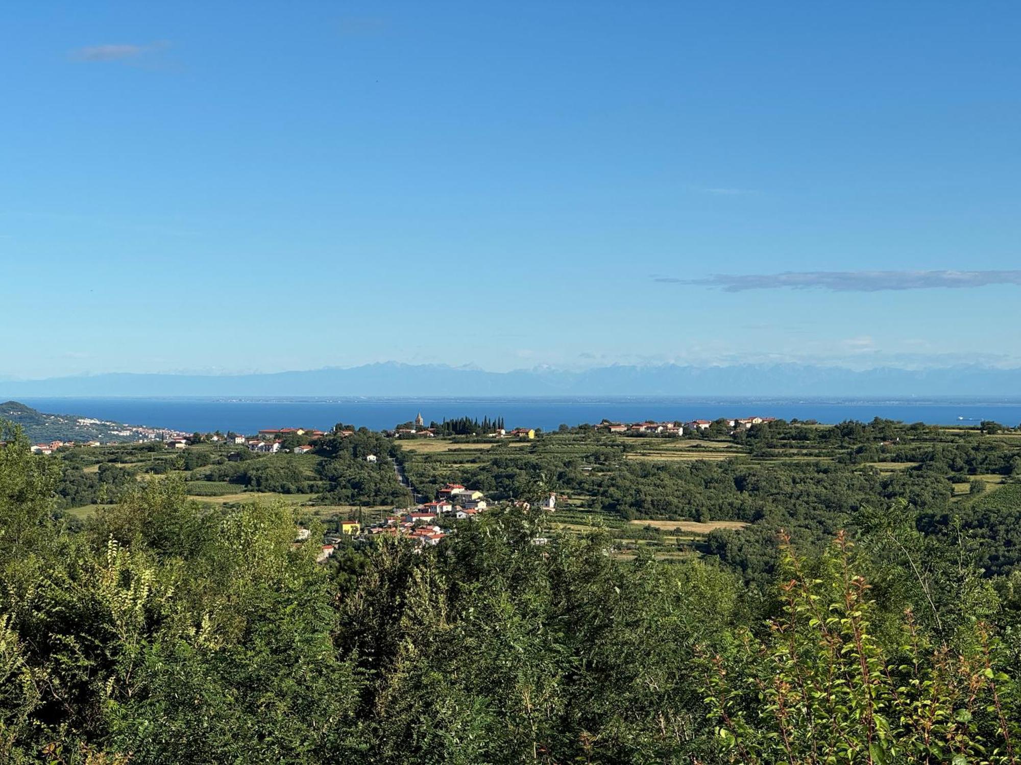 Guesthouse Green Istria Truške Dış mekan fotoğraf