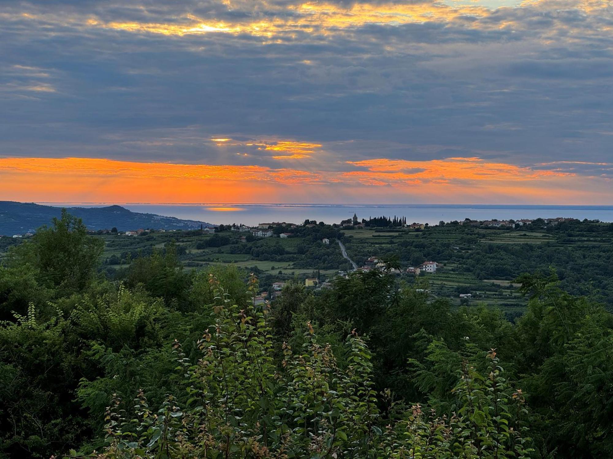 Guesthouse Green Istria Truške Dış mekan fotoğraf