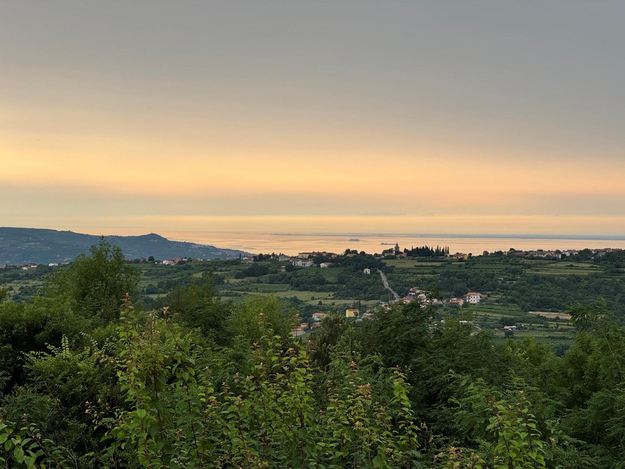 Guesthouse Green Istria Truške Dış mekan fotoğraf