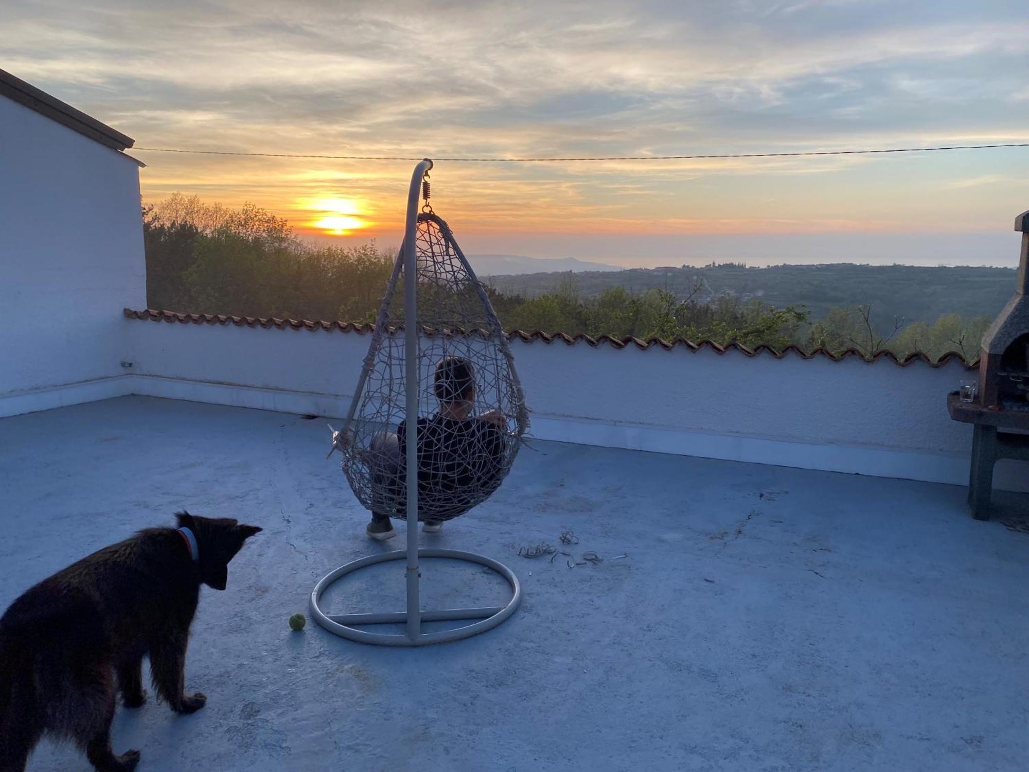 Guesthouse Green Istria Truške Dış mekan fotoğraf