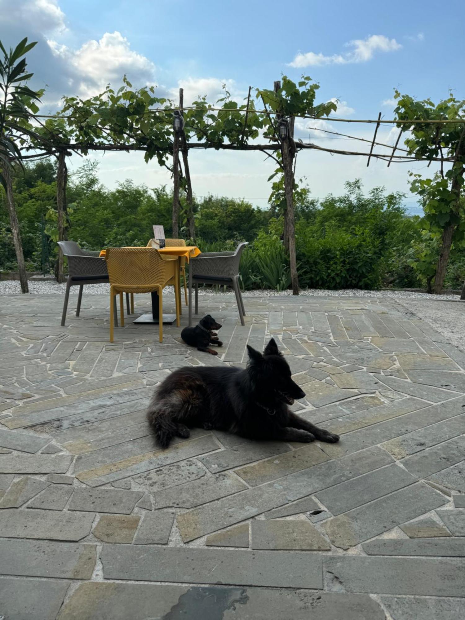 Guesthouse Green Istria Truške Dış mekan fotoğraf