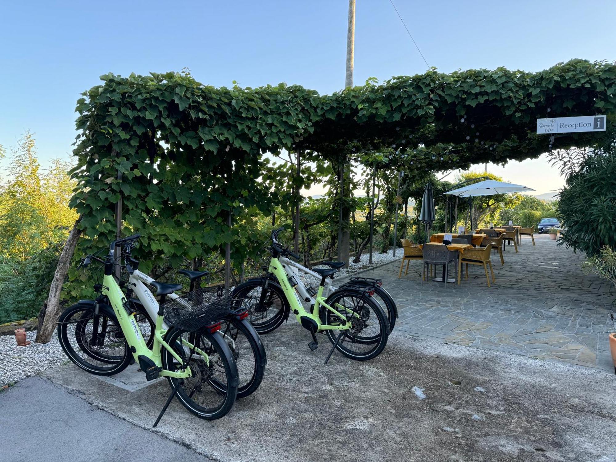 Guesthouse Green Istria Truške Dış mekan fotoğraf