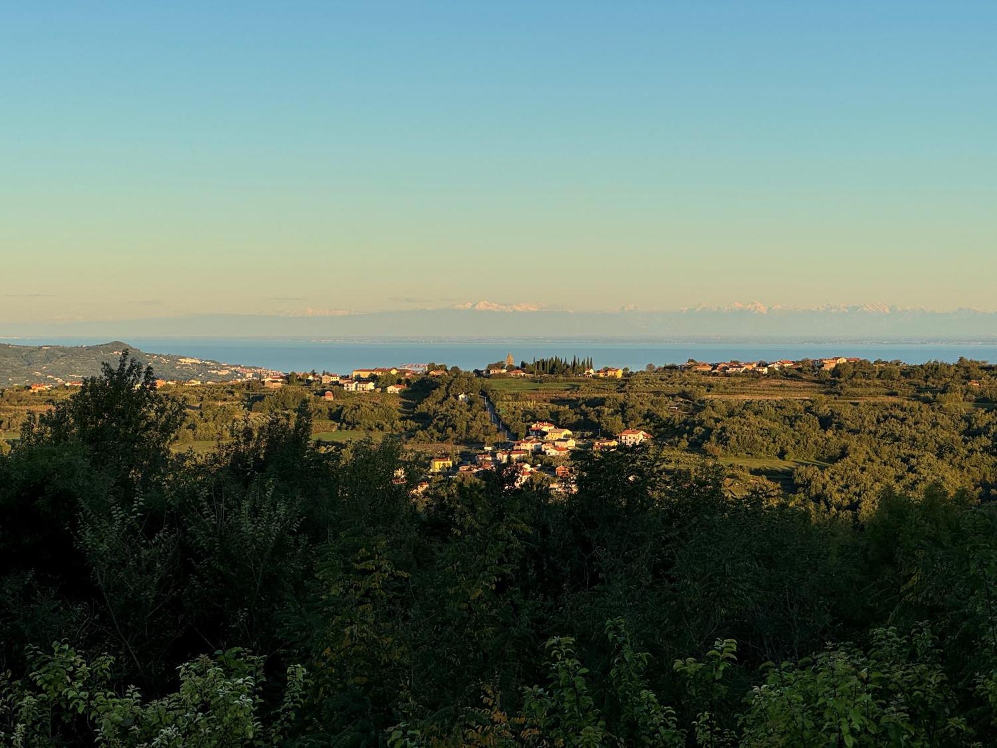 Guesthouse Green Istria Truške Dış mekan fotoğraf