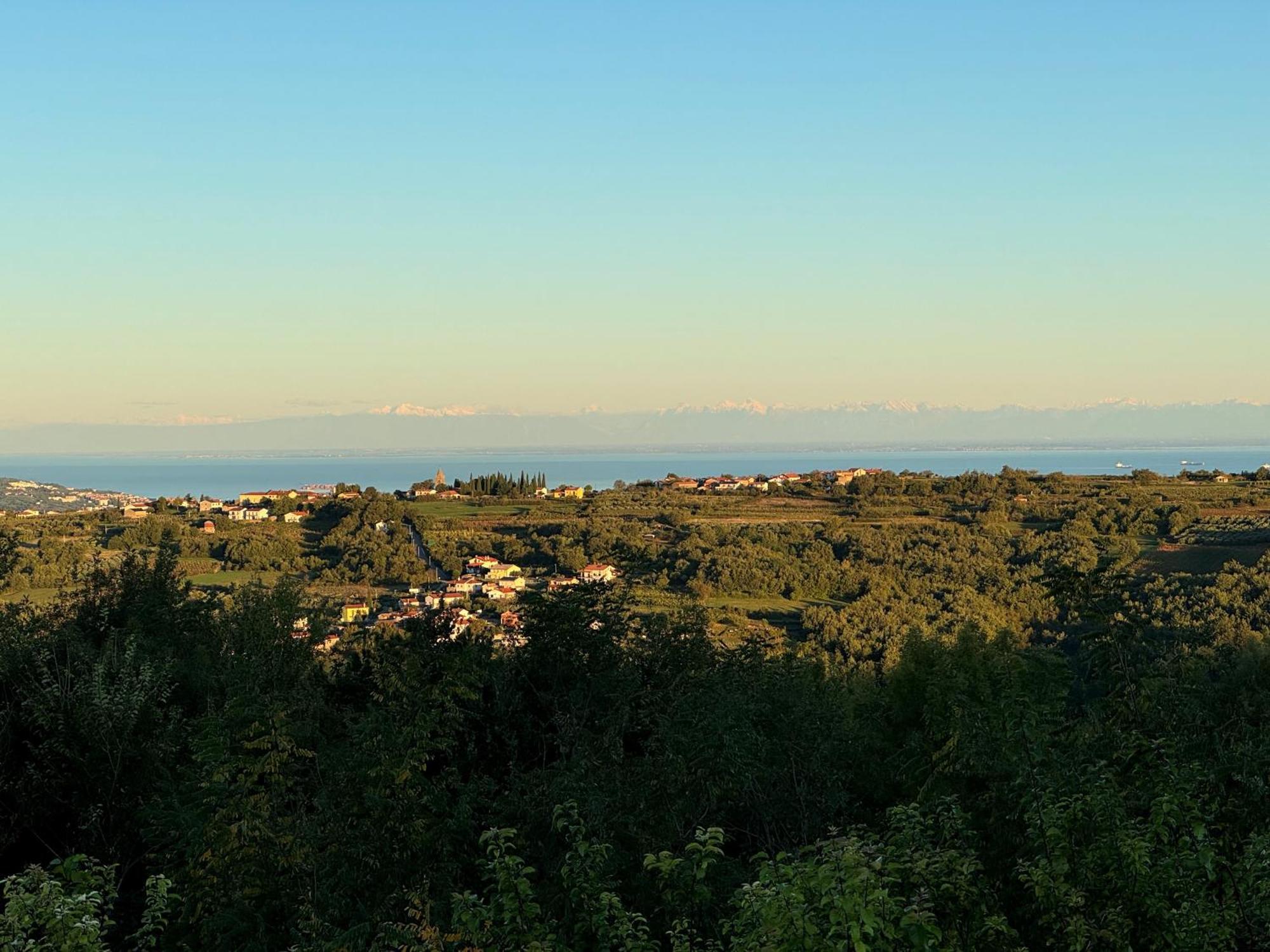 Guesthouse Green Istria Truške Dış mekan fotoğraf